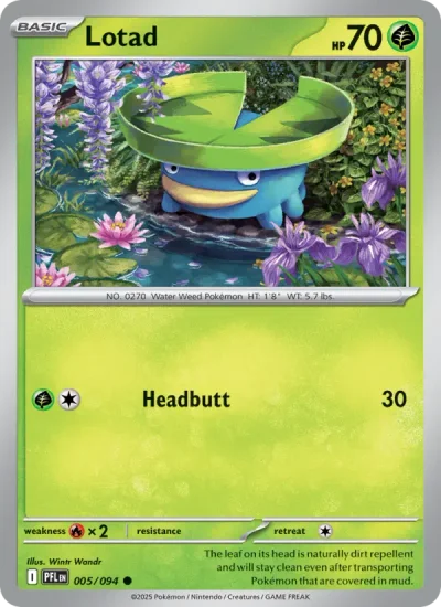 Lotad 005 Phantasmal Flames Pokemon Card