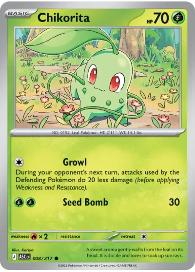 Chikorita 008 Ascended Heroes Pokemon Card