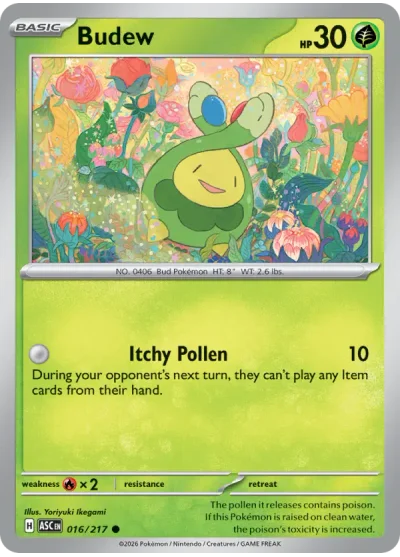 Budew 016 Ascended Heroes Pokemon Card