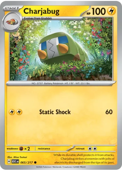 Charjabug 065 Ascended Heroes Pokemon Card