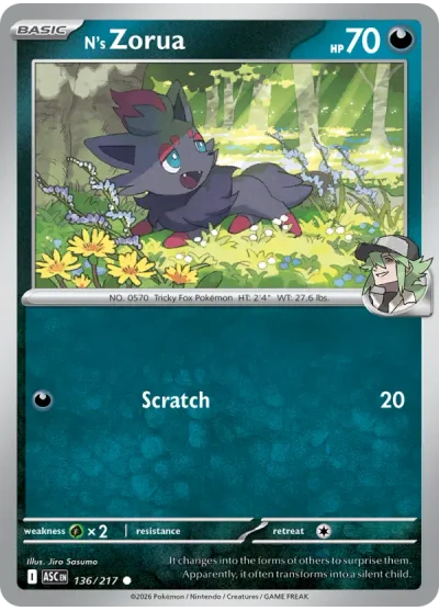 N's Zorua 136 Ascended Heroes Pokemon Card