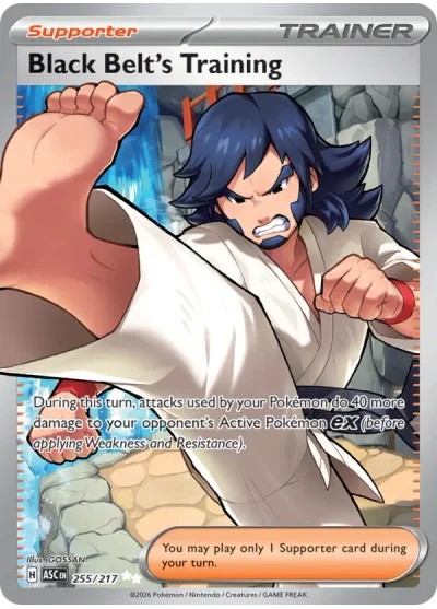 Black Belt's Training 255 Ascended Heroes Pokemon Card