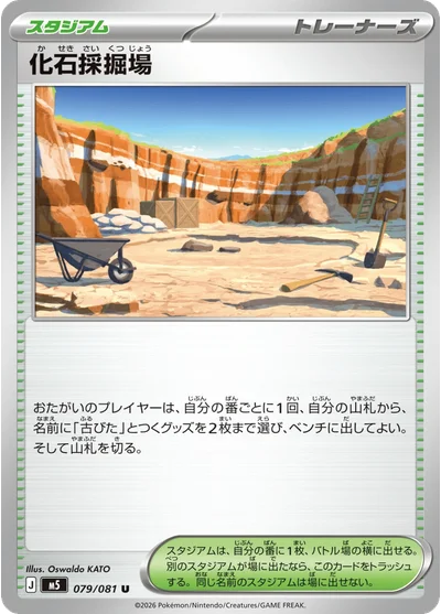 Fossil Dig Site