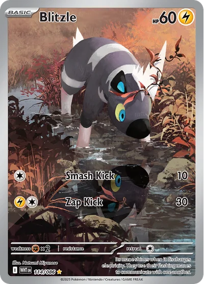 Blitzle 114 White Flare Pokemon Card