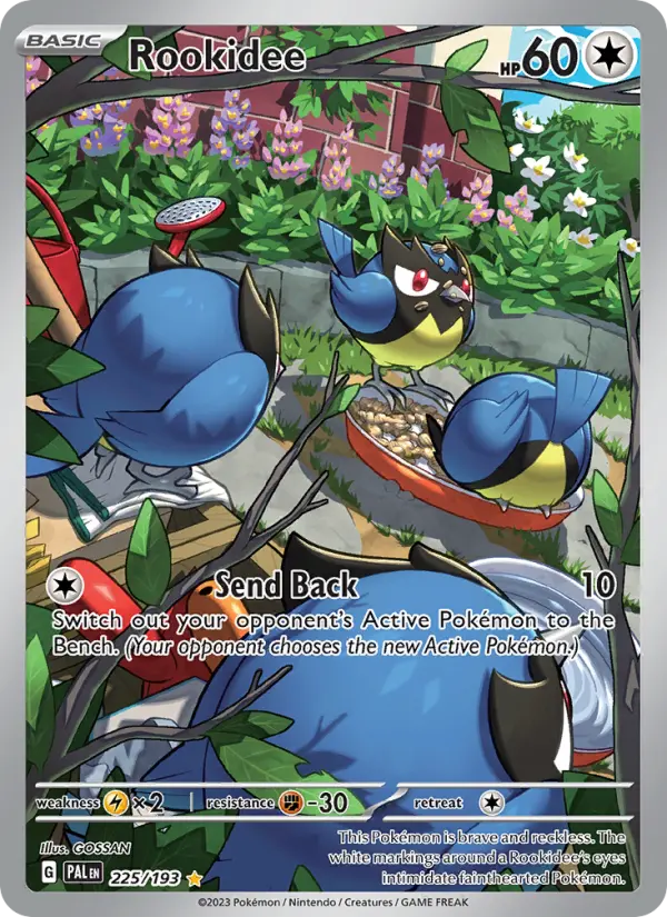 Rookidee 225 Paldea Evolved (SV2) Pokemon Card