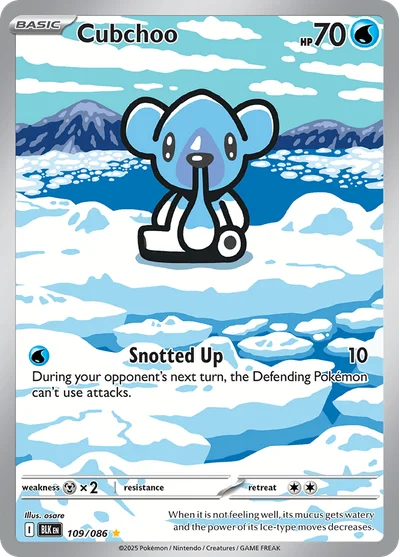 Cubchoo 109 Black Bolt Pokemon Card
