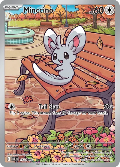 Minccino 152 Black Bolt Pokemon Card