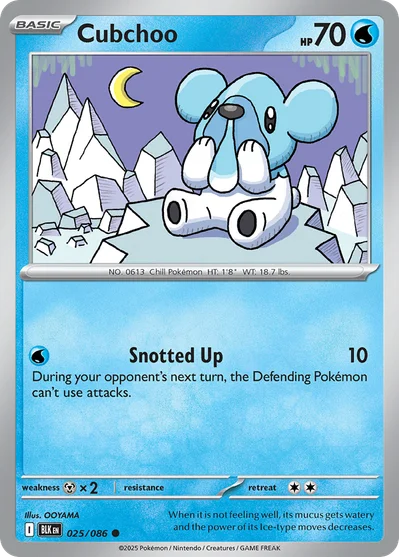 Cubchoo 25 Black Bolt Pokemon Card