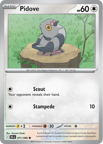 Pidove 71 Black Bolt Pokemon Card