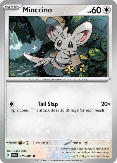 Minccino 75 Black Bolt Pokemon Card
